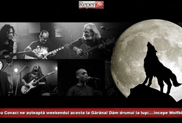 Nicu Covaci ne așteaptă weekendul acesta la Gărâna! Dăm drumul la lupi….începe a doua ediție Wolfblues