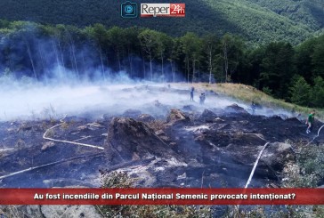 Au fost incendiile din Parcul Național Semenic provocate intenționat? Romsilva, acuzată direct; problema, pe masa primului ministru