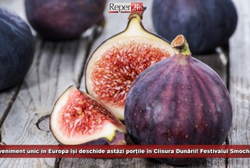 Un eveniment unic în Europa își deschide astăzi porțile în Clisura Dunării! Festivalul Smochinelor a ajuns la ediția XVIII