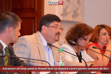 Schimbări în Codul Silvic! Cărășenii au timp până la finalul lunii să depună cereri pentru lemnul de foc cu care se vor încălzi la iarnă!