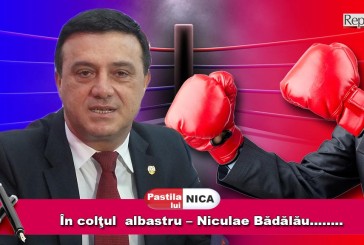 În colţul albastru – Niculae Bădălău …