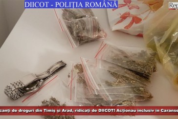 Traficanți de droguri din Timiș și Arad, ridicați de DIICOT! Acționau inclusiv în municipiul Caransebeș!