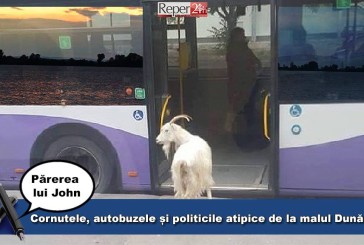 Cornutele, autobuzele și politicile atipice de la malul Dunării
