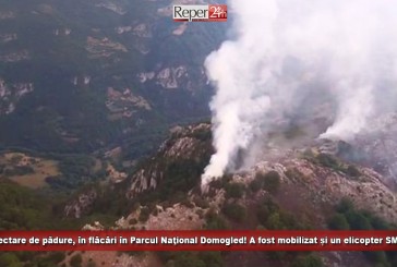 15 hectare de litieră, în flăcări în Parcul Naţional Domogled! A fost mobilizat și un elicopter SMURD
