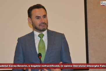Județul Caraș-Severin, o bogăție nefructificată, în opinia liberalului Gheorghe Falcă!
