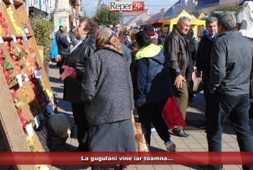 La gugulani vine iar toamna…