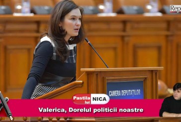 Valerica, Dorelul politicii noastre