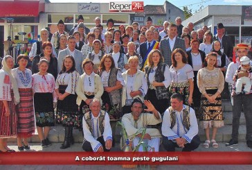 A coborât toamna peste gugulani