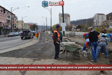 Ajung platanii care vor înverzi Reșița dar mai durează până ne plimbăm pe malul Bârzavei! „Am estimat greșit și îmi asum acest lucru”