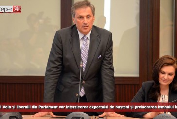 Marcel Vela și liberalii din Parlament vor interzicerea exportului de bușteni și prelucrarea lemnului în țară! Opoziția vrea altceva