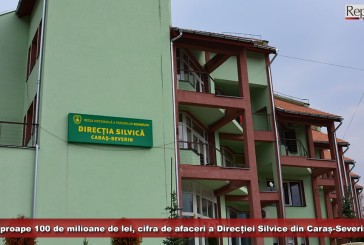 Aproape 100 de milioane de lei, cifra de afaceri a Direcției Silvice din Caraș-Severin! Masa lemnoasă, principala sursă de venit!