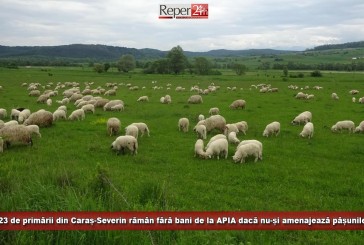 23 de primării din Caraș-Severin rămân fără bani de la APIA dacă nu-și amenajează pășunile