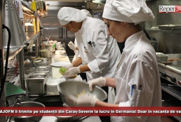 AJOFM îi trimite pe studenții din Caraș-Severin la lucru în Germania! Doar în vacanța de vară
