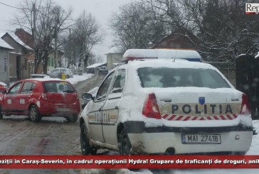 Percheziții în Caraș-Severin, în cadrul operațiunii Hydra! Grupare de traficanți de droguri, anihilată de oamenii legii!
