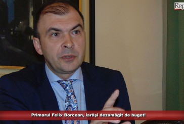 Felix Borcean, iarăşi dezamăgit de buget! 80% din bani merg către salarii!