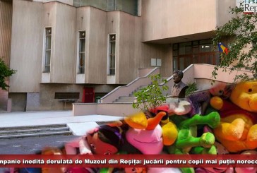 Campanie inedită derulată de Muzeul Banatului Montan din Reșița: jucării pentru copii mai puțin norocoși!