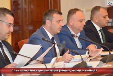 Cu ce și-au bătut capul consilierii județeni cărășeni, reuniți în ședință?