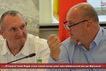 Consilierii locali reșițeni, convocați în ședință de urgență! Popa vrea construirea unei microhidrocentrale pe Bârzava!