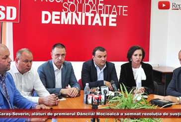 PSD Caraș-Severin, alături de premierul Dăncilă! Mocioalcă a semnat rezoluția de susținere, alături de Dobra și Fifor!
