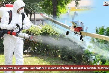 Primăria Oravița, în război cu țânțarii și muștele! Săptămâna viitoare are loc dezinsecția aeriană și terestră!