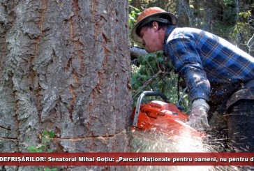 STOP DEFRIȘĂRILOR! Senatorul Mihai Goțiu: „Parcuri Naționale pentru oameni, nu pentru drujbe“!