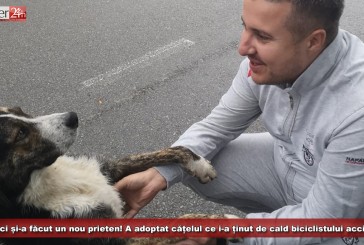 Vicepreședintele Popovici și-a făcut un nou prieten! A adoptat cățelușul ce i-a ținut de cald biciclistului accidentat pe Semenic!