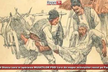 Primarul Stoicu sare în apărarea MUIAȚILOR PSD! Le-o dă înapoi activiștilor rezist pe Facebook