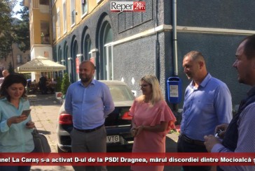 Vești bune! La Caraș s-a activat D-ul de la PSD! Dragnea, mărul discordiei dintre Mocioalcă și Jivan!