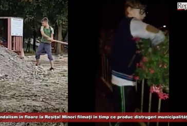 Vandalism „în floare“ la Reșița! Minori filmați în timp ce produc distrugeri municipalității!