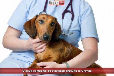 O nouă campanie de sterilizări gratuite la Oravița