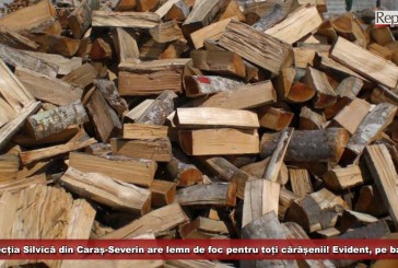 Direcția Silvică din Caraș-Severin are lemn de foc pentru toți cărășenii! Evident, pe bani!