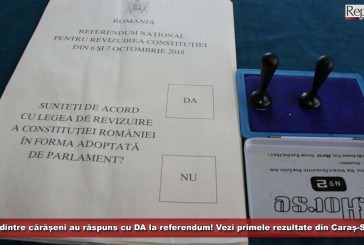 95% dintre cărășenii care au mers la referendum au răspuns cu DA! Vezi primele rezultate pentru județul Caraș-Severin!
