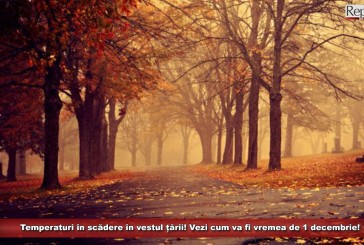 Temperaturi în scădere în vestul țării! Vezi cum va fi vremea de 1 decembrie!