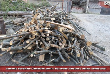 Lemnele de foc destinate Căminului pentru Persoane Vârstnice Anina, confiscate! Exces de zel din partea Gărzii Forestiere?