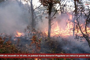 Peste 100 de incendii în 15 zile, în județul Caraș-Severin! Pagubele se ridică la peste 60.000 lei!