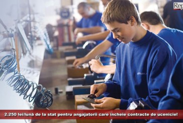 2.250 lei/lună de la stat pentru angajatorii care încheie contracte de ucenicie!