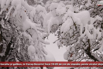 Cod portocaliu și galben de vreme severă, în Caraș-Severin! Strat de zăpadă de 10-20 de cm, peste cel deja depus!