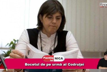 Bocetul de pe urmă al Codruţei