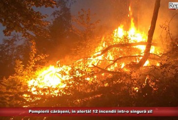 Pompierii cărășeni, în alertă! 12 incendii într-o singură zi!