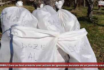 INCREDIBIL! Care au fost urmările unei acțiuni de igienizare derulate de un jandarm cărășean! „Am rămas stupefiat”!