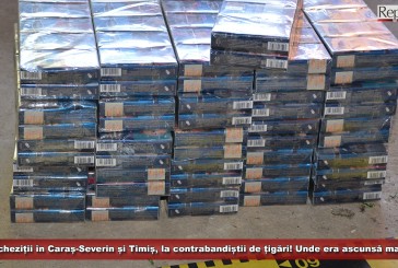 Percheziții în Caraș-Severin și Timiș, la contrabandiștii de țigări! 18 persoane aduse la audieri! Unde era ascunsă marfa