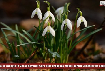 Vremea se răcește din nou în Caraș-Severin! Care este prognoza meteo pentru următoarele două săptămâni