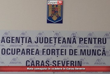 Rata șomajului în scădere în Caraș-Severin