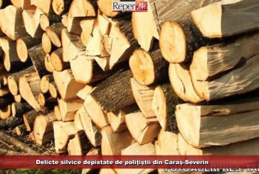 Delicte silvice depistate de polițiștii din Caraș-Severin