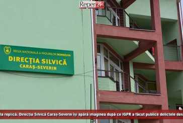 Dreptul la replică. Direcția Silvică Caraș-Severin își apără imaginea după ce IGPR a făcut publice delictele descoperite