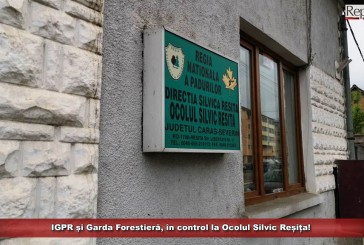 IGPR și Garda Forestieră, în control la Ocolul Silvic Reșița!