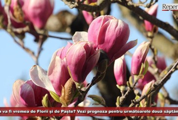 Cum va fi vremea de Florii și de Paște? ANM a făcut publică prognoza pentru următoarele două săptămâni