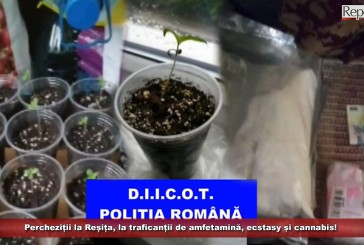 Percheziții la traficanții de droguri din Reșița! Se ocupau cu vânzarea de amfetamină, ecstasy și cannabis!