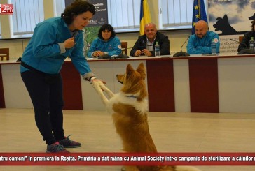 ”Câini pentru oameni” în premieră la Reșița. Primăria a dat mâna cu Animal Society într-o campanie de sterilizare a câinilor maidanezi