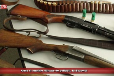 Arme și muniție ridicate de polițiști, la Bozovici